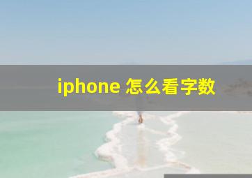 iphone 怎么看字数